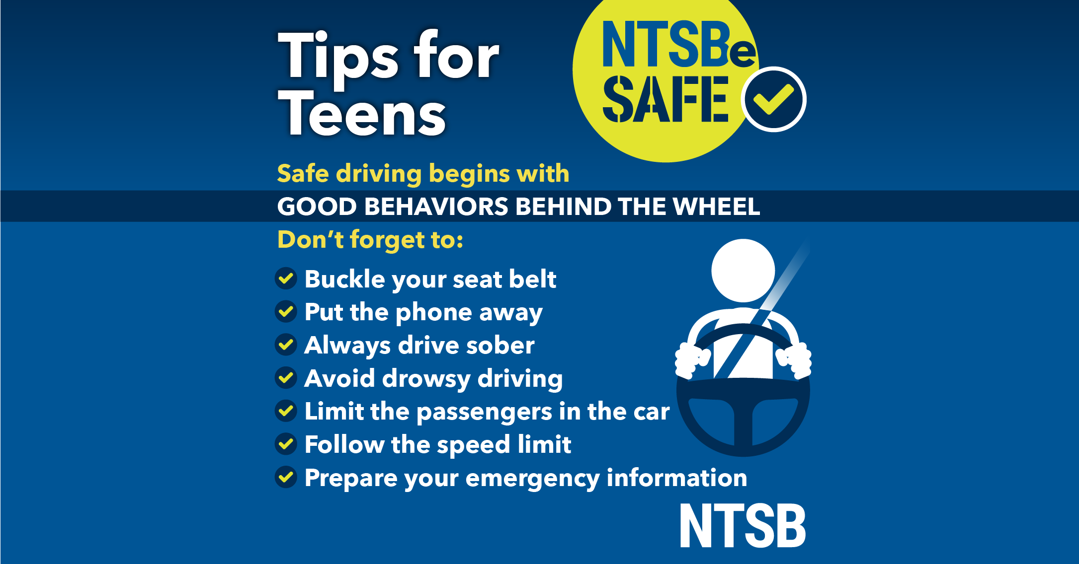 Teen and Young Driver Safety Tip Card graphic.
