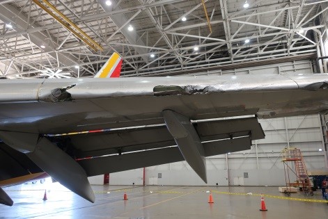 Damage to leading edge of left wing