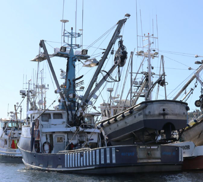 Fishing Vessel Hotspur before the casualty