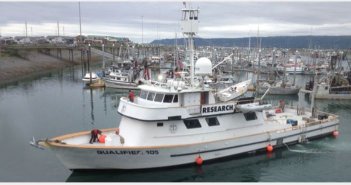 Small passenger vessel Qualifier 105 before the casualty.