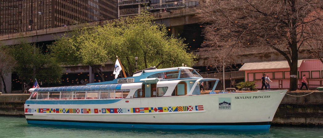Recreational vessel Skyline Princess before the casualty.