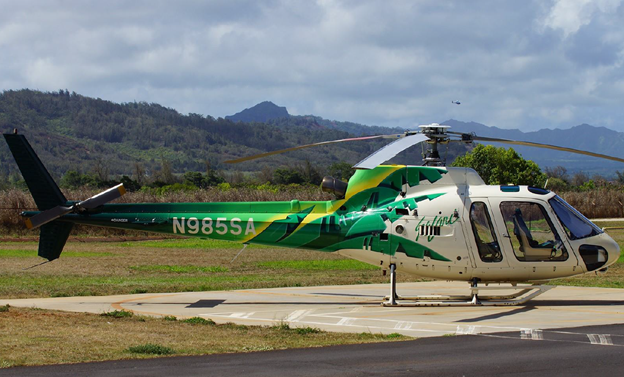 The accident helicopter. Photo courtesy of Tomas Milosch.)