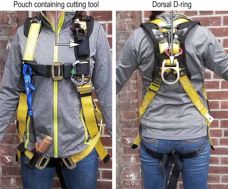 Photo of Front and rear view of an exemplar NYONair harness.