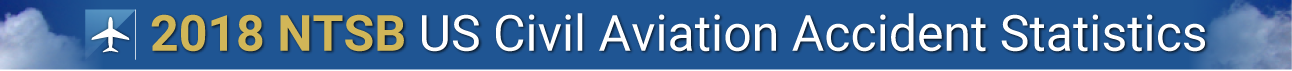 Aviation Logo